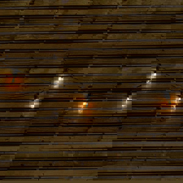 Samuel Alexander Set of 20 Indoor Outdoor Connectable Vintage Festoon Lights with Warm White LEDs