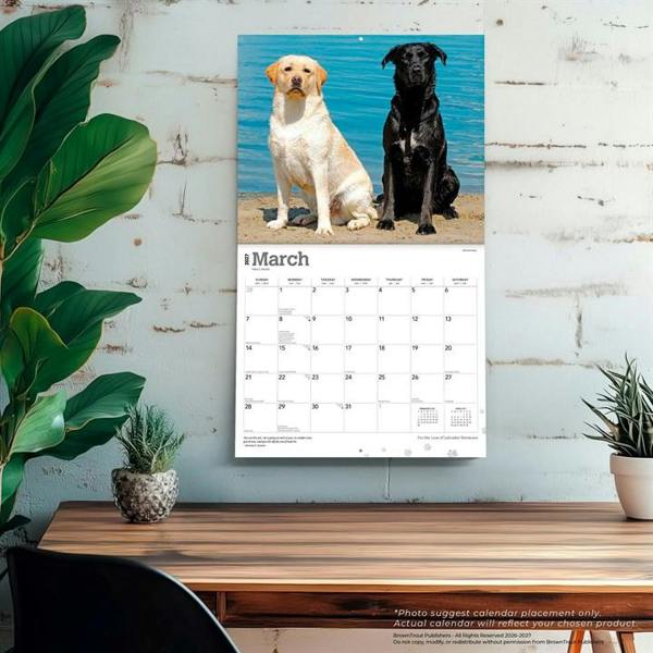 For The Love Of Labrador Retrievers Deluxe Calendar 2027, Deluxe Calendars, Month To View, Dogs, Gift