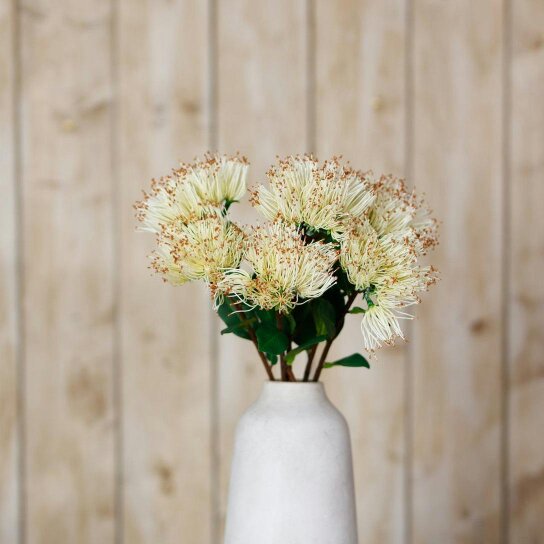 Wyld Haus Set of 3 Artificial Flowers Cream Protea Nitida Stems