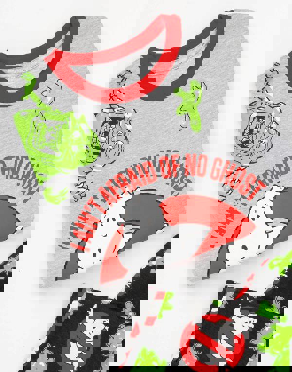 Ghostbusters Boys Grey I Aint Afraid Of No Ghost Placement Print Long Sleeve Long Leg Pyjama Set