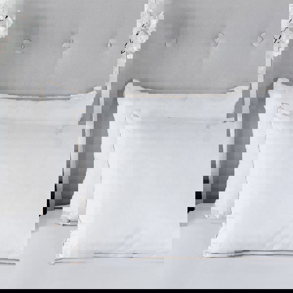 Snug City Egyptian Cotton Pillow (Pair)