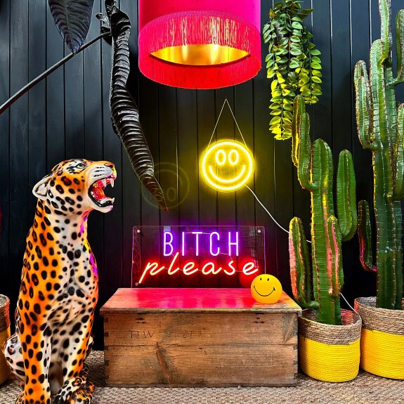 Love Frankie Bitch Please - Neon Wall Light