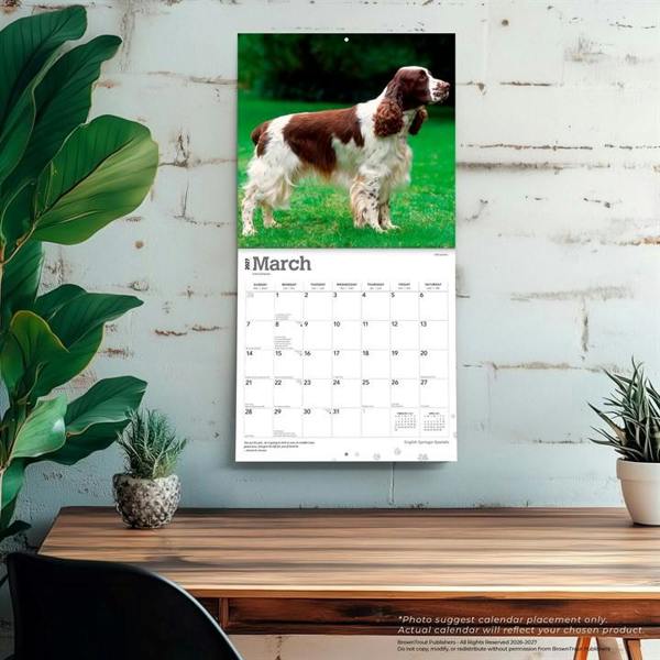 English Springer Spaniels Calendar 2027, Wall Calendars, Month To View, Dogs, Gift