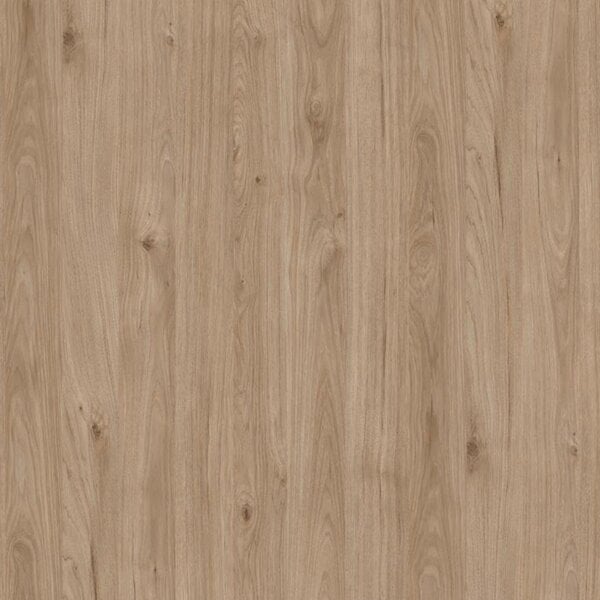 Wyld Haus Monza Tall Natural Oak Wood and Rattan 2 Door Display Cabinet