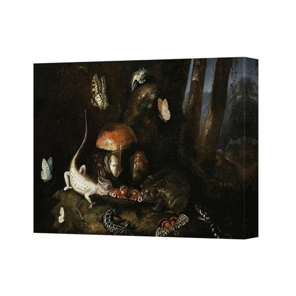 Benjamin Tate Design Dark Forest Still Life With Mushrooms And Butterflies Canvas Print