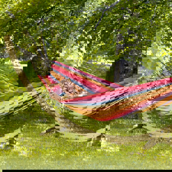 Amazonas Barbados Rainbow Hammock