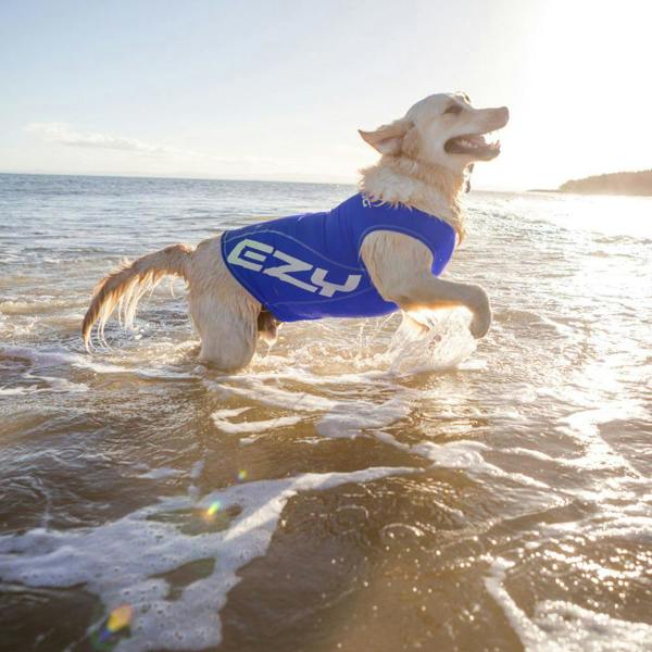 EzyDog UPF 50+ Dog Rash Vest in Blue