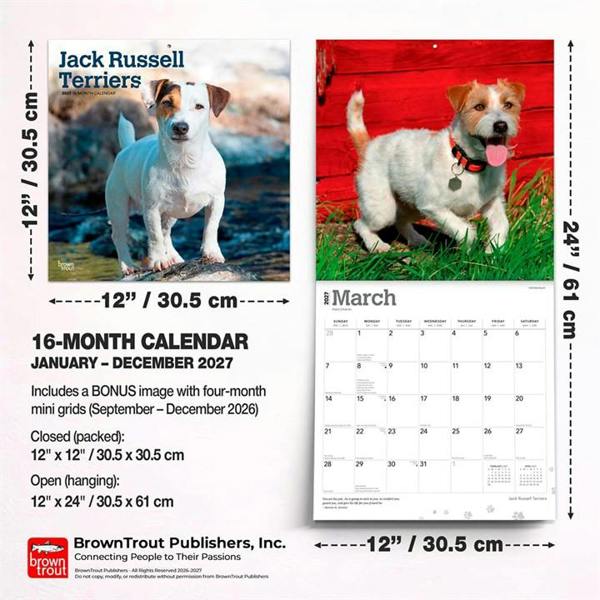 Jack Russell Terriers Calendar 2027, Wall Calendars, Month To View, Dogs, Gift