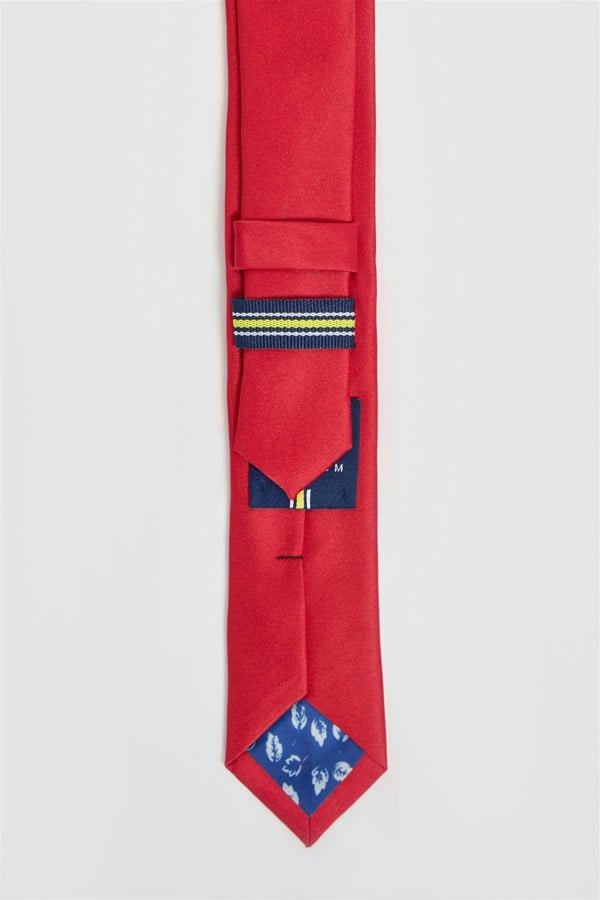 House of Cavani Boys Plain Tie Set