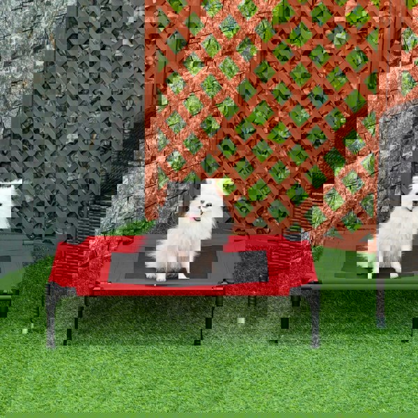 D04-068
