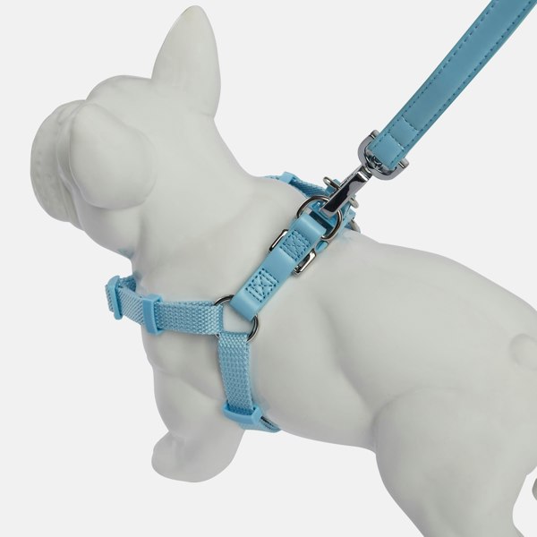 Barc London Dog Harness - Coastal Blue