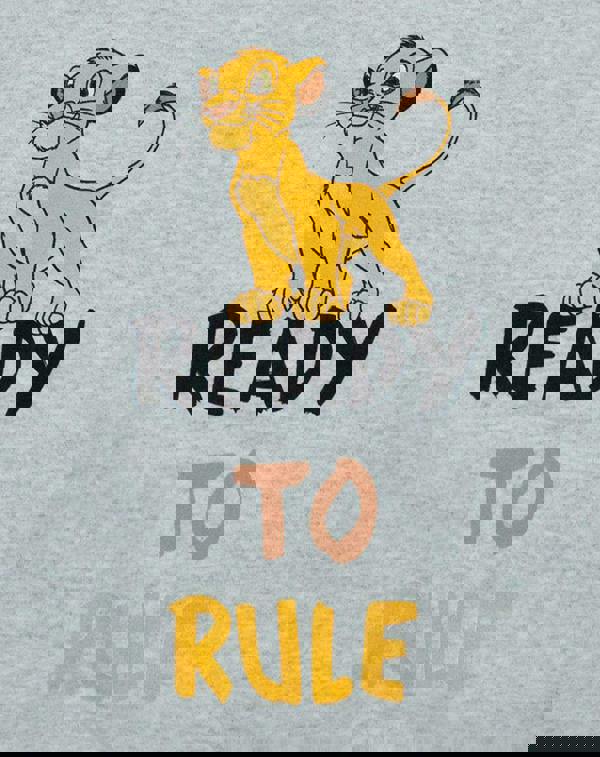 Disney Boys Grey Simba Sweatshirt