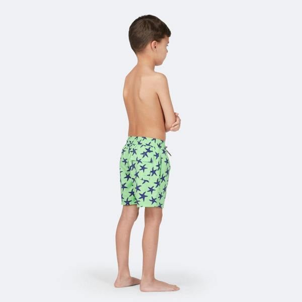 Tom & Teddy Fresh Green & Blue Starfish
