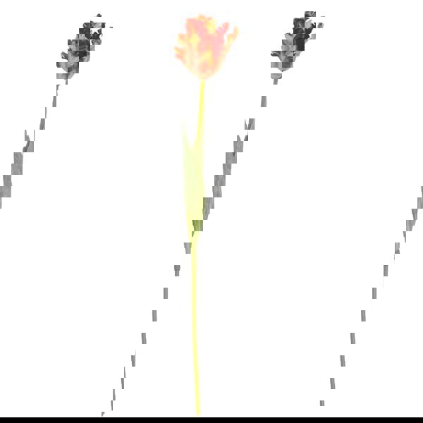 Hill Interiors Parrot Tulip Artificial Flower - Green/Flame Orange - 