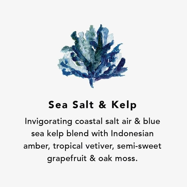 T. H. Baker Northern Lights Sea Salt & Kelp Wax Melts Jar NL132