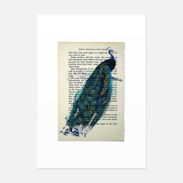 Hands & Hearts Peacock vintage book page art print