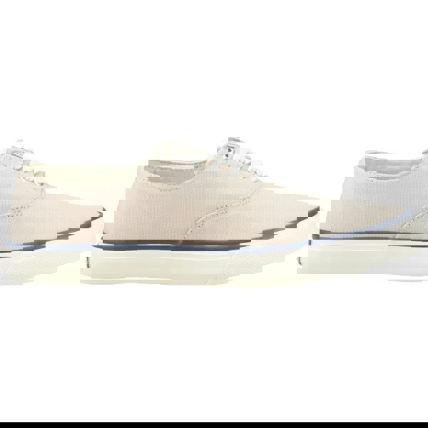 Sperry CVO Trainers 100% Cotton - Birch