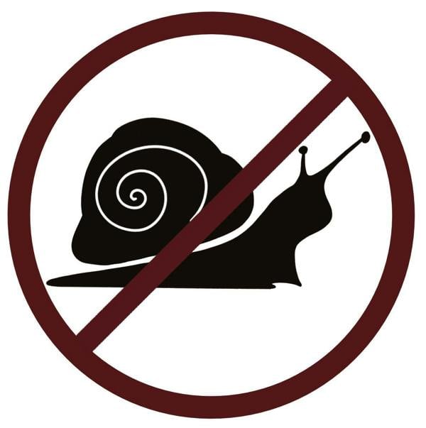 Snail and Slug Barrier Kit Silver Metal - for raised vegetable beds or wooden lawn edge - Devonia London