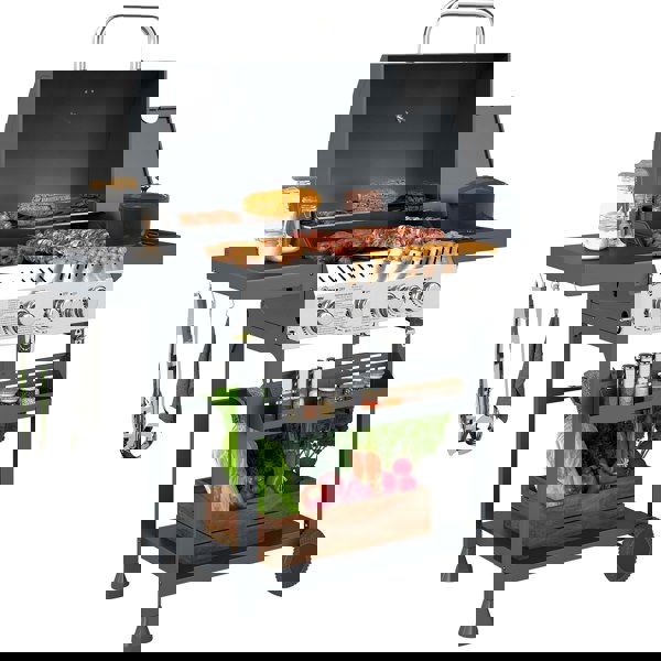 Gas Grill
