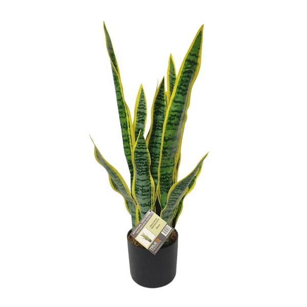 Artificial Dracaena Trifasciata Snake Plant 65cm - Evergreenery