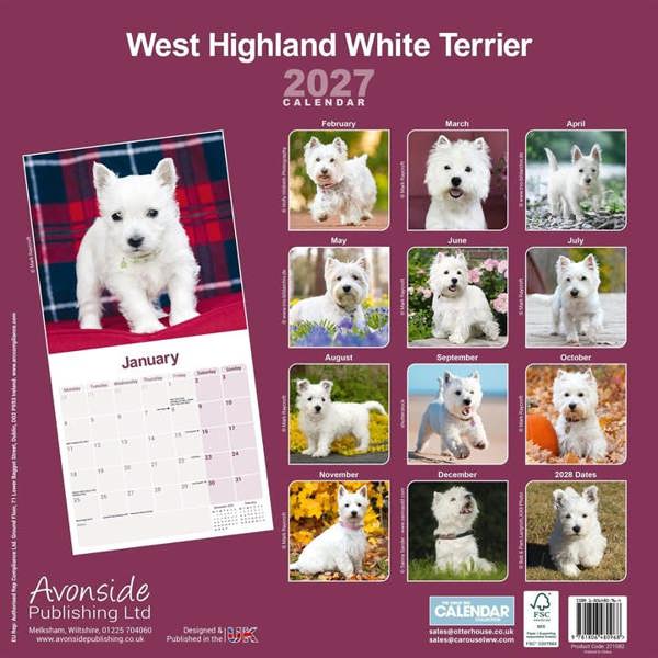 West Highland White Terrier Calendar 2027, Wall Calendars, Month To View, Dogs, Gift