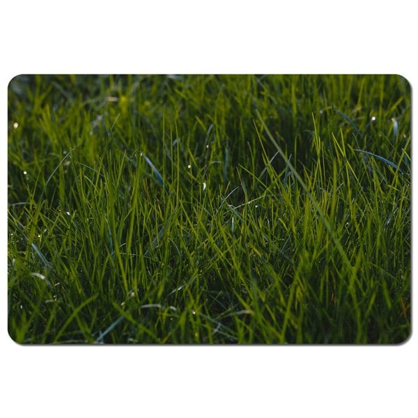 Benjamin Tate Design Fresh green grass background, natural grass (Placemat)