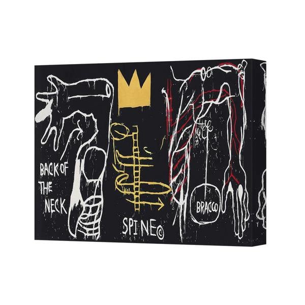 Benjamin Tate Design Anatomical Abstract Canvas Wall Art Spine Diagram Print