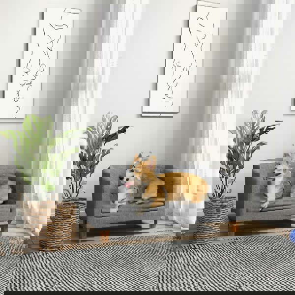 D04-267V70GY
