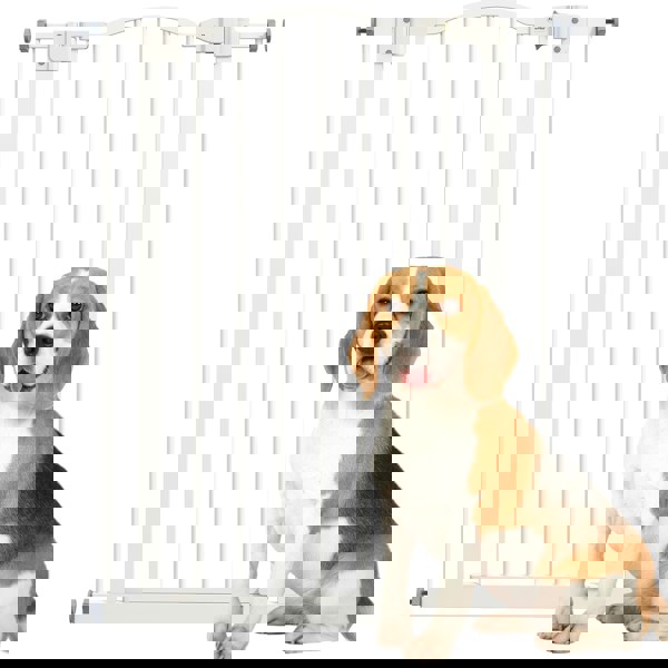 D06-094V00WT