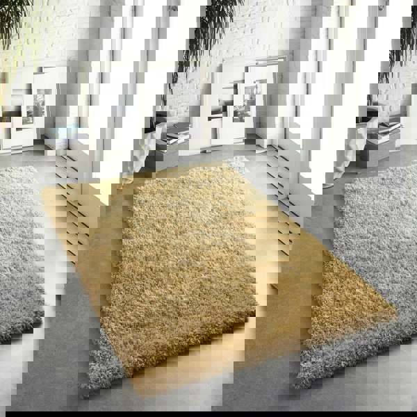 Origins Chicago Ochre