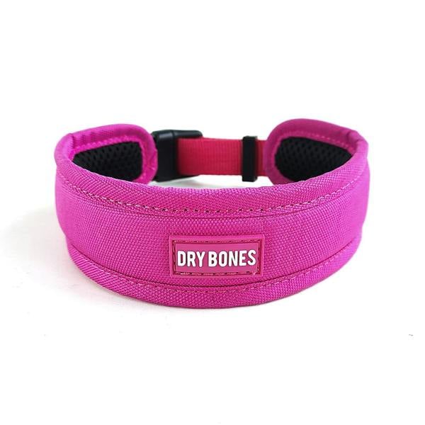 DRYBONES Dog Collar