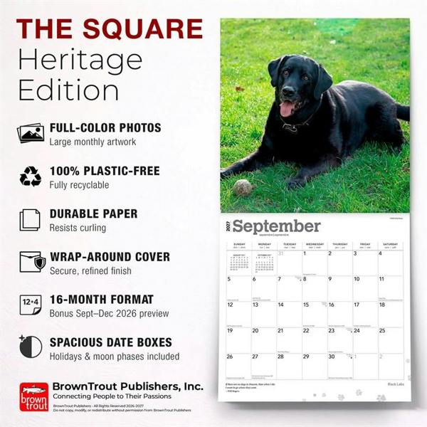 Black Labs Calendar 2027, Wall Calendars, Month To View, Dogs, Gift