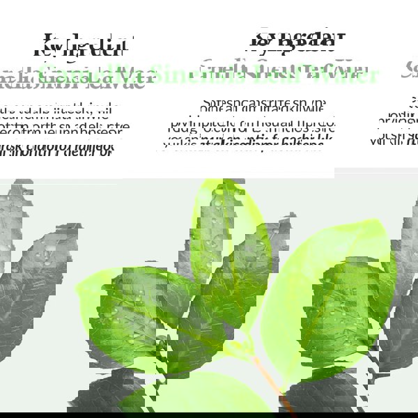 DR. ALTHEA Green Tea Fresh Sunscreen 45ml