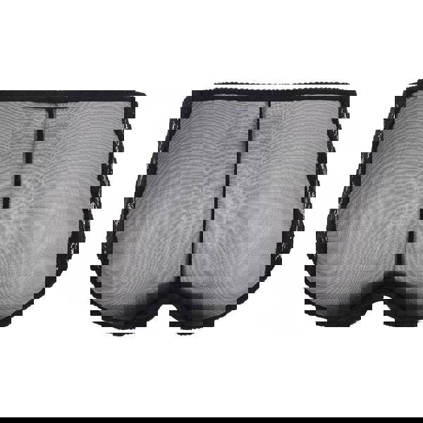 Little Women Sylvia Brief