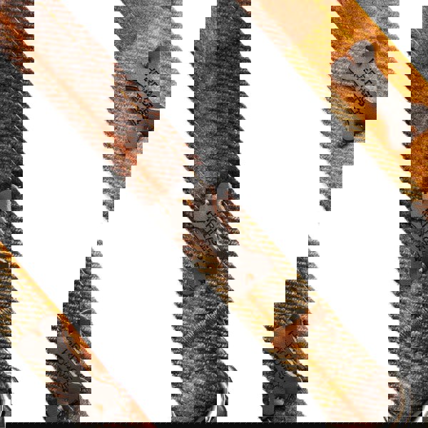 Heritage Traditions Heritage Hounds Tartan Dog Lead and Collar Set