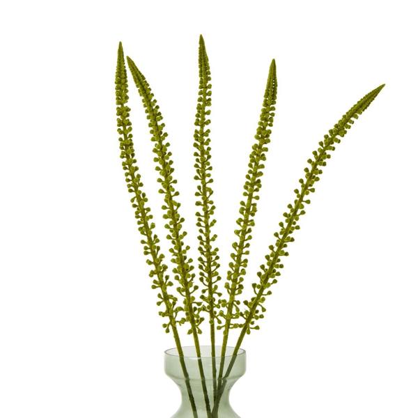 Wyld Haus Set of 3 Artificial Flowers Green Eremurus Stems