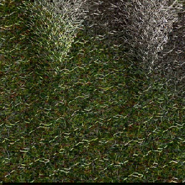 Samuel Alexander 5m x 0.9m x 25mm Galvanised Chicken Wire Garden Netting / Fencing