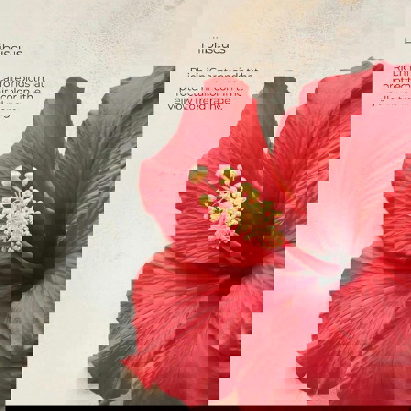 L'Anza Healing Color Care Conditioner 250ml