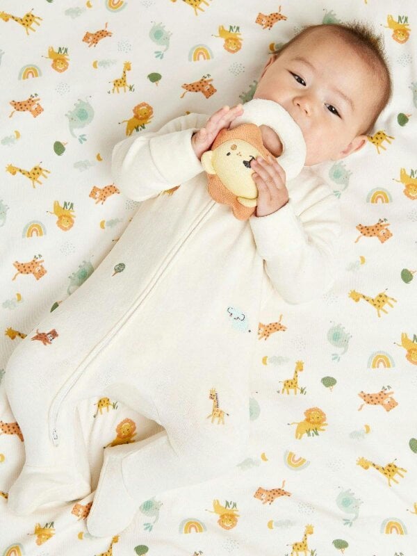 Mini Cuddles Baby Unisex 4pc Luxury Gift Set, Multicolour