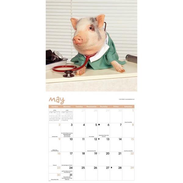 Playful Pigs Calendar 2027, Wall Calendars, Month To View, Animals, Gift
