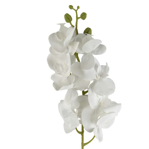 Leaf Pack of 6 x 100cm Artificial Phalaenopsis Orchid White Stem