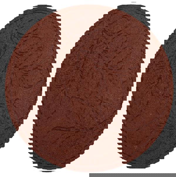 Nicoman Eco-Friendly Garden Stepping Stones - Leaf