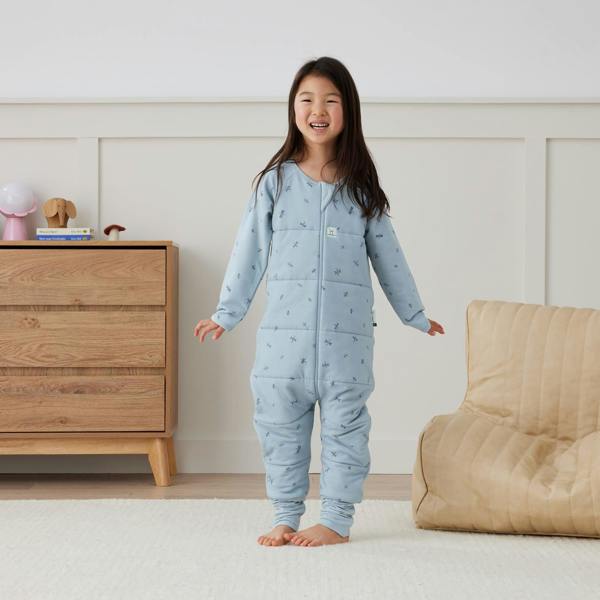 ergoPouch - Organic Winter Long Sleeved Sleep Onesie - Dragonflies - 2.5 TOG
