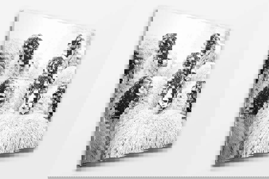 winter countryside sheep print