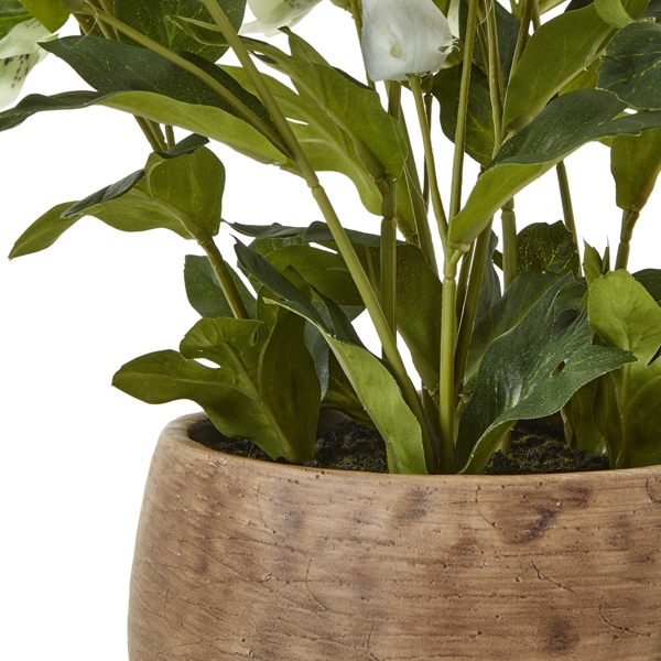 Hill Interiors Hellebore Artificial Potted Plant - Green/Taupe