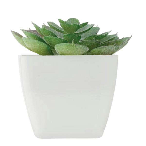 MidOcean Artieche Polypropylene Echeveria Mini Artificial Plant - White - 