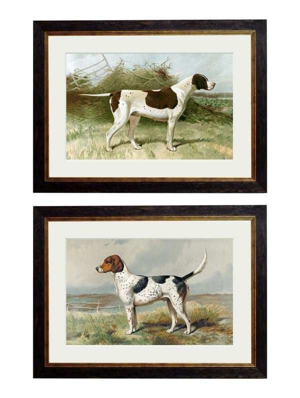 Exceptional Art c.1881 Gun Dogs