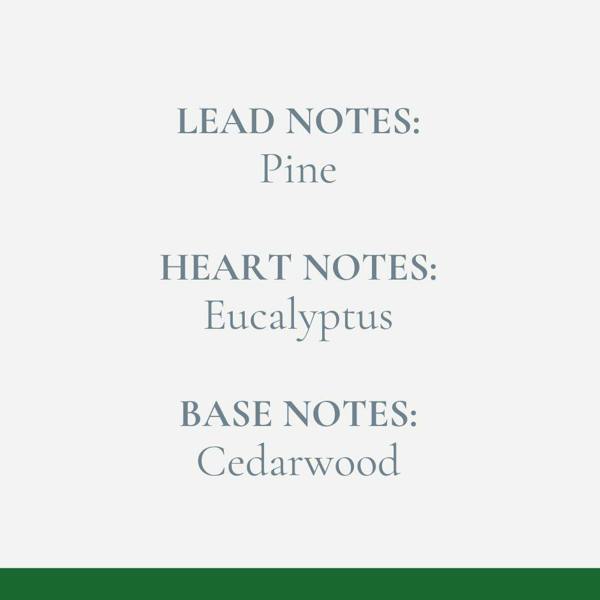 Fosse Living Norwegian Spruce Reed Diffuser