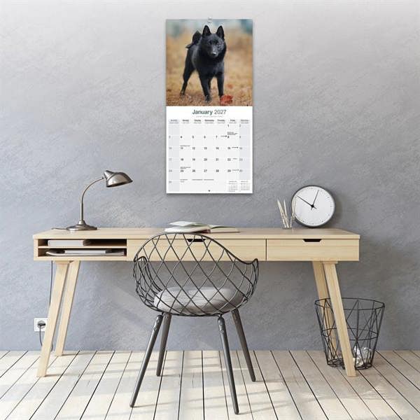 Schipperke Calendar 2027, Wall Calendars, Month To View, Dogs, Gift