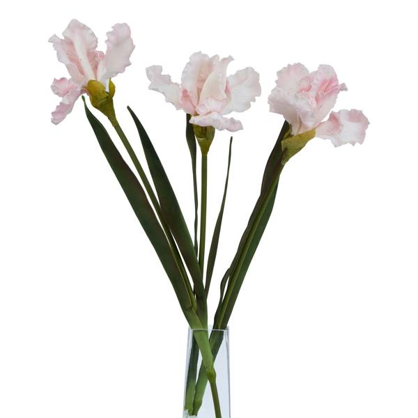 Wyld Haus Set of 3 Artificial Flowers Pale Pink Fringed Iris Stems